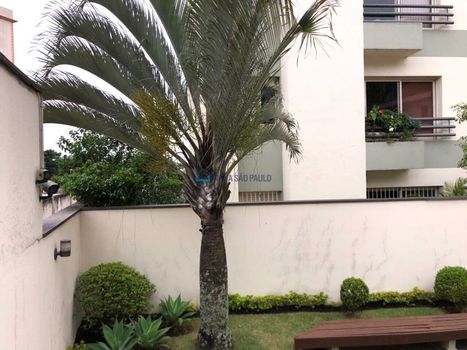 Foto 23 do(a) Apartamento de 2 quartos à venda em Vila Guarani (Z Sul), São Paulo