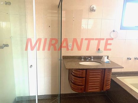 Foto 6 do(a) Apartamento de 3 quartos à venda em Vila Paulicéia, São Paulo