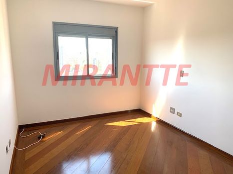 Foto 4 do(a) Apartamento de 3 quartos à venda em Vila Paulicéia, São Paulo