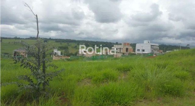 Foto 2 do(a) Terreno false à venda em Granja Marileusa, Uberlândia