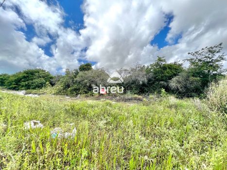 Foto 3 do(a) Terreno false à venda em Parque das Árvores, Parnamirim
