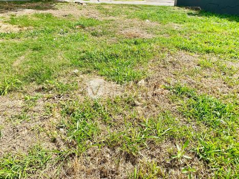 Foto 15 do(a) Terreno false à venda em Jardim Vila São Domingos, Sorocaba