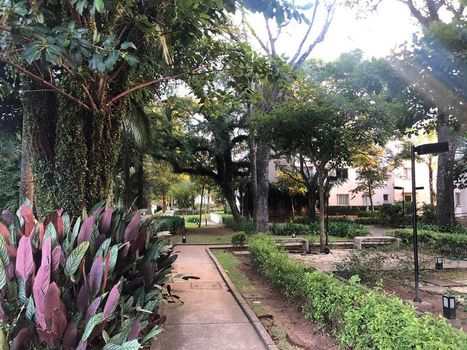 Foto 14 do(a) Apartamento de 2 quartos à venda em Jardim Helga, São Paulo