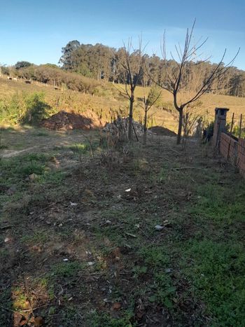 Foto 2 do(a) Terreno false à venda em Tancredo Neves, Santa Maria