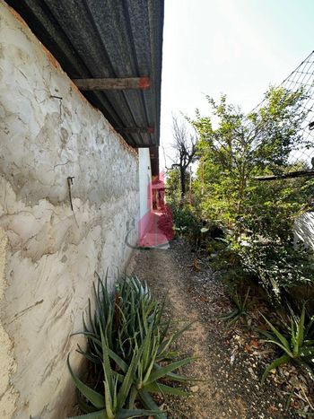 Foto 18 do(a) Fazenda / Sítio / Chácara de 6 quartos à venda em Nova Pompéia, Piracicaba