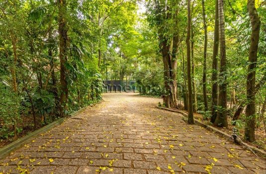 Foto 41 do(a) Casa de 5 quartos à venda em Jardim dos Estados, São Paulo