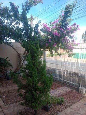 Foto 4 do(a) Casa de 3 quartos à venda em Jardim do Bosque, Cachoeirinha