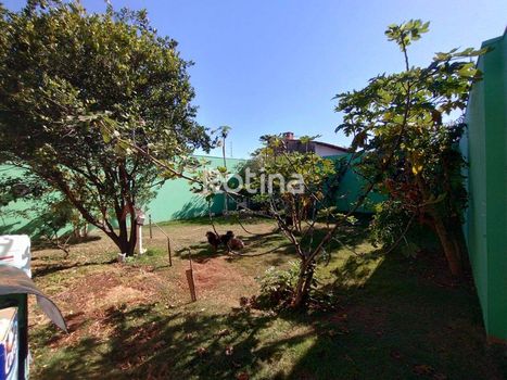 Foto 29 do(a) Casa de 3 quartos à venda em Bom Jesus, Uberlândia