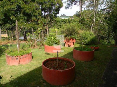 Foto 25 do(a) Fazenda / Sítio / Chácara de 3 quartos à venda em Bom Retiro dos Mourão, Bragança Paulista