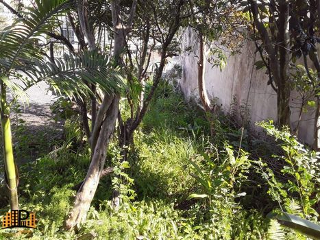 Foto 5 do(a) Terreno false à venda em Independência, São Bernardo do Campo