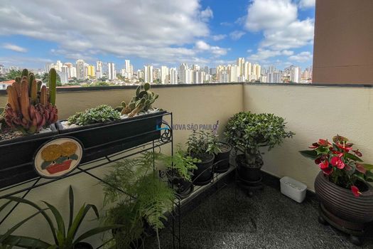 Foto 12 do(a) Apartamento de 3 quartos à venda em Vila Gumercindo, São Paulo