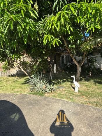 Foto 33 do(a) Casa de 2 quartos à venda em Benedito Bentes, Maceió