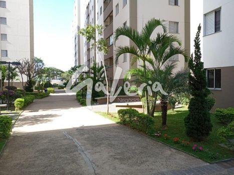 Foto 39 do(a) Apartamento de 3 quartos à venda em Vila Bela, São Paulo
