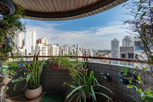 Foto 10 do(a) Apartamento de 3 quartos à venda em Lar São Paulo, São Paulo
