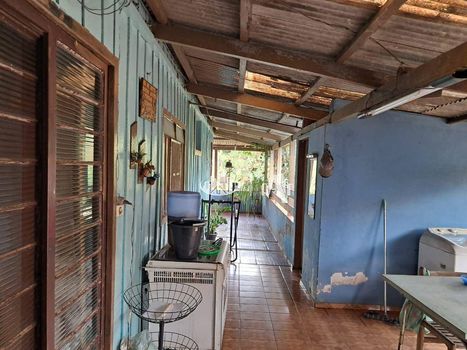 Foto 29 do(a) Fazenda / Sítio / Chácara de 4 quartos à venda em Jardim Santo Amaro, Cambé