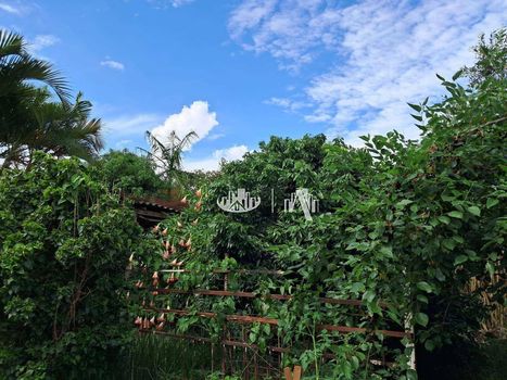 Foto 15 do(a) Fazenda / Sítio / Chácara de 4 quartos à venda em Jardim Santo Amaro, Cambé