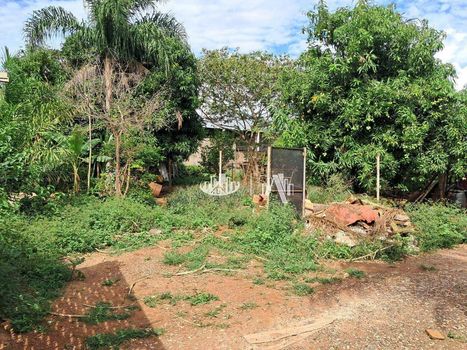 Foto 20 do(a) Fazenda / Sítio / Chácara de 4 quartos à venda em Jardim Santo Amaro, Cambé