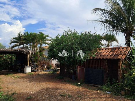 Foto 14 do(a) Fazenda / Sítio / Chácara de 4 quartos à venda em Jardim Santo Amaro, Cambé