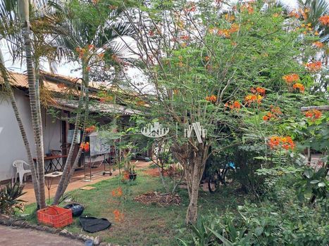 Foto 19 do(a) Fazenda / Sítio / Chácara de 4 quartos à venda em Jardim Santo Amaro, Cambé