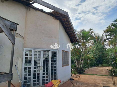 Foto 45 do(a) Fazenda / Sítio / Chácara de 4 quartos à venda em Jardim Santo Amaro, Cambé