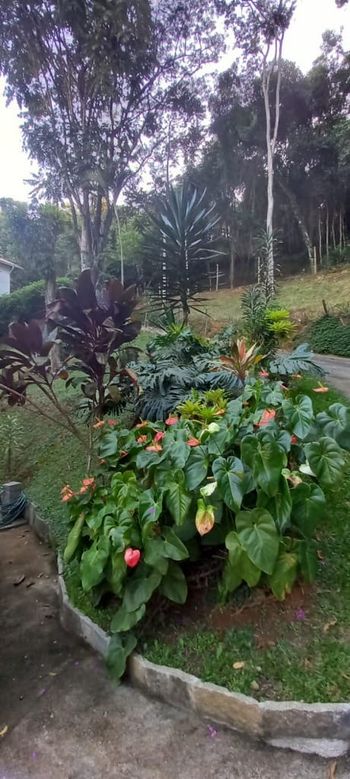 Foto 8 do(a) Casa em Condomínio de 3 quartos à venda em Corrêas, Petrópolis