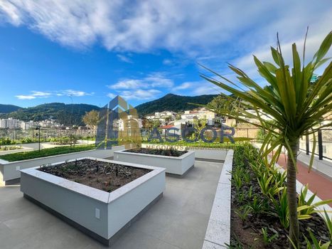 Foto 3 do(a) Kitnet / JK / Studio de 2 quartos à venda em Monte Verde, Florianópolis