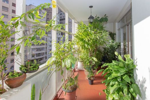 Foto 18 do(a) Apartamento de 3 quartos à venda em Bela Vista, São Paulo