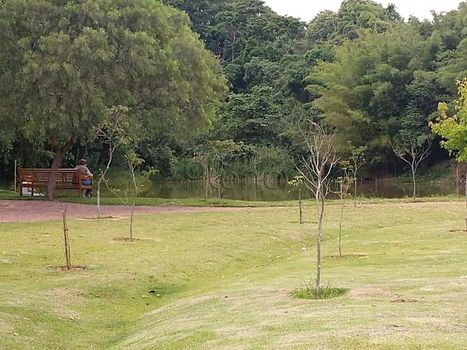 Foto 5 do(a) Terreno false à venda em Vila São Sebastião, Valinhos
