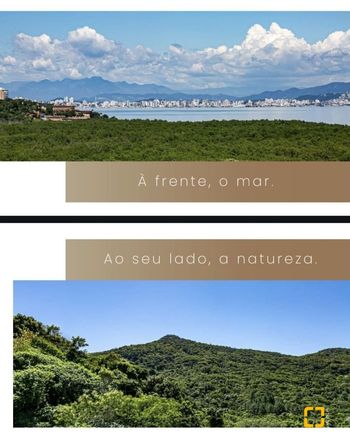 Foto 20 do(a) Apartamento de 3 quartos à venda em Monte Verde, Florianópolis