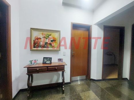Foto 15 do(a) Casa de 4 quartos à venda em Vila Maria Alta, São Paulo