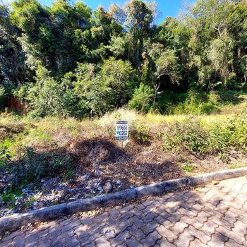 Foto 2 do(a) Terreno false à venda em Caminho da Eulália, Bento Gonçalves