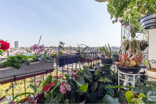 Foto 5 do(a) Apartamento de 3 quartos à venda em Jardim Aeroporto, São Paulo