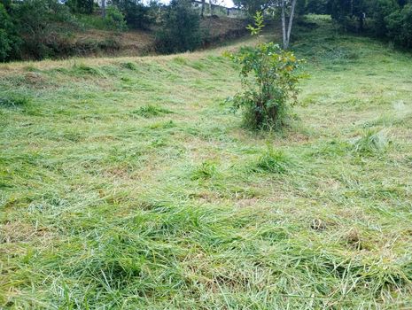 Foto 3 do(a) Terreno false à venda em Capela do Barreiro, Itatiba
