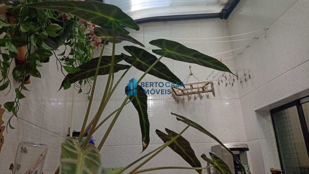 Foto 29 do(a) Casa em Condomínio de 2 quartos à venda em Vila Primavera, São Paulo