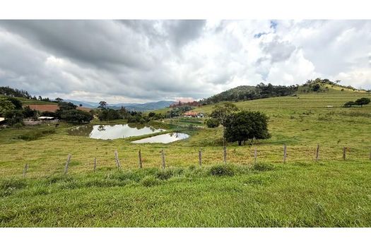 Foto 37 do(a) Fazenda / Sítio / Chácara de 3 quartos à venda em Ponte Nova, Itapira