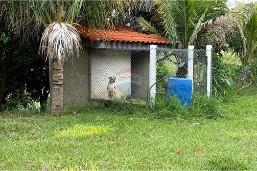 Foto 23 do(a) Fazenda / Sítio / Chácara de 3 quartos à venda em Ponte Nova, Itapira