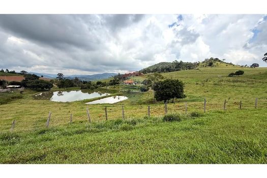 Foto 30 do(a) Fazenda / Sítio / Chácara de 3 quartos à venda em Ponte Nova, Itapira