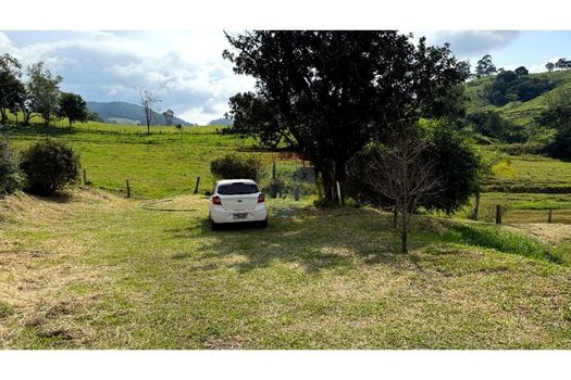 Foto 34 do(a) Fazenda / Sítio / Chácara de 3 quartos à venda em Ponte Nova, Itapira