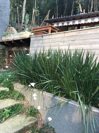 Foto 6 do(a) Casa em Condomínio de 3 quartos à venda em Independência, Petrópolis