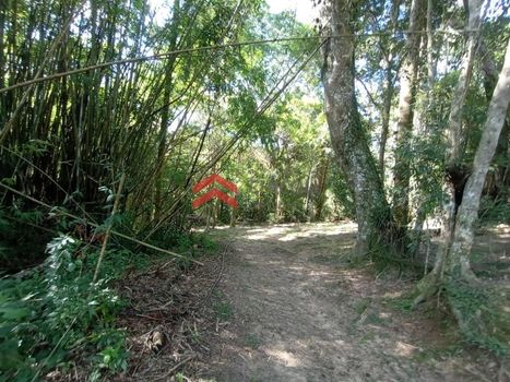 Foto 45 do(a) Fazenda / Sítio / Chácara de 4 quartos à venda em Chácara Rincão, Cotia
