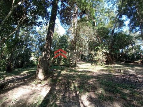 Foto 47 do(a) Fazenda / Sítio / Chácara de 4 quartos à venda em Chácara Rincão, Cotia
