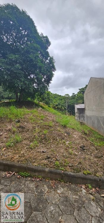 Foto 4 do(a) Terreno false à venda em Velha Central, Blumenau