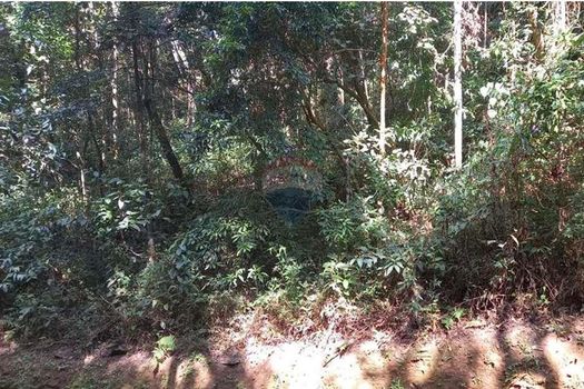 Foto 6 do(a) Terreno false à venda em Aconchego da Serra, Itabirito