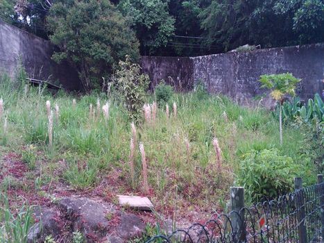 Foto 42 do(a) Casa de 3 quartos para alugar em Independência, Petrópolis