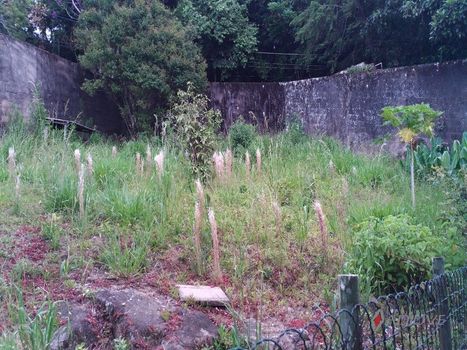 Foto 50 do(a) Casa de 3 quartos para alugar em Independência, Petrópolis