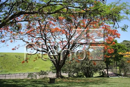 Foto 45 do(a) Casa em Condomínio false à venda em Marambaia, Vinhedo