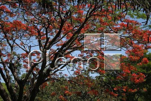 Foto 46 do(a) Casa em Condomínio false à venda em Marambaia, Vinhedo