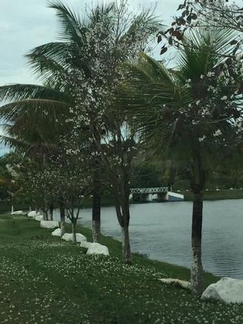 Foto 10 do(a) Loja de 30 quartos à venda em Vale do Sol, Piracicaba