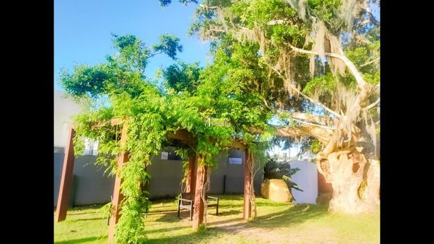 Foto 16 do(a) Casa em Condomínio de 2 quartos à venda em Cocão, Viamão
