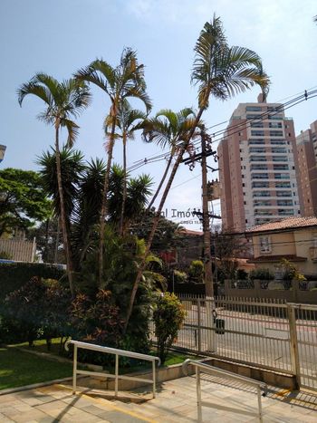 Foto 44 do(a) Apartamento de 3 quartos à venda em Vila Mariana, São Paulo